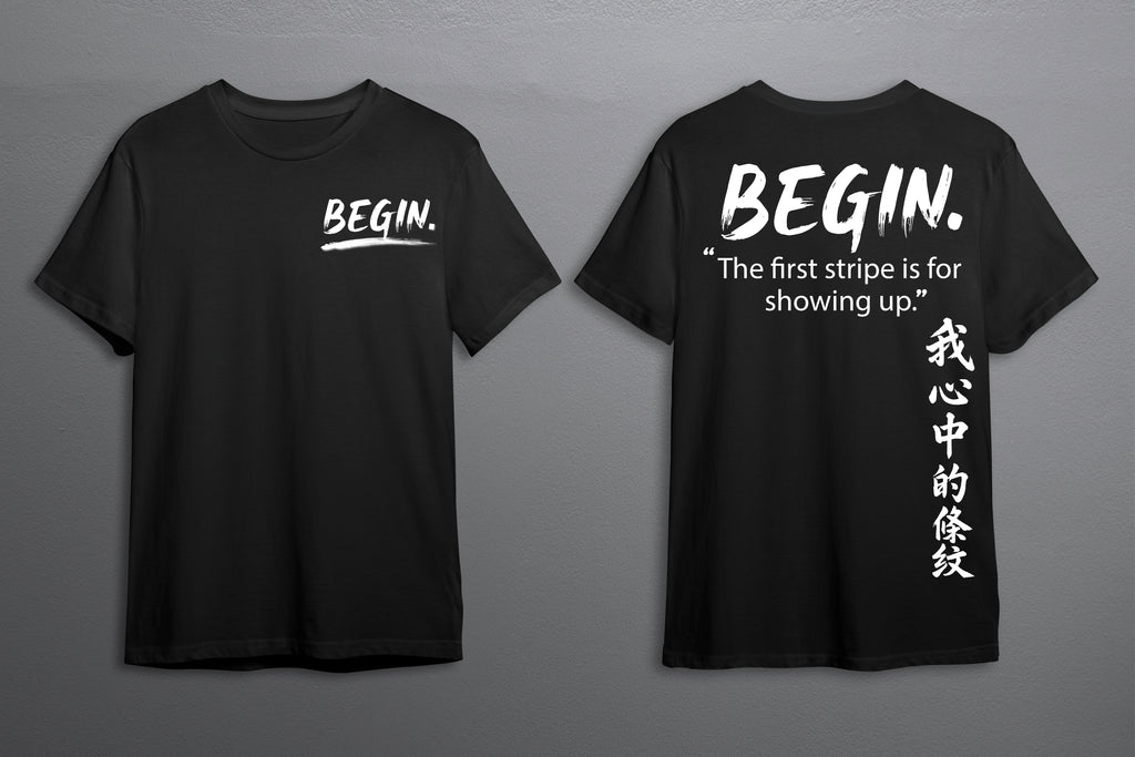 BEGIN. — Stripe 001