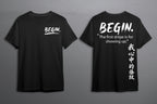 BEGIN. — Stripe 001