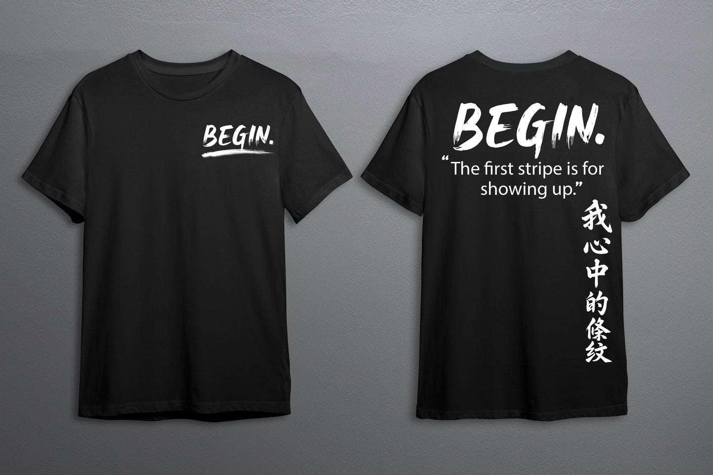 BEGIN. — Stripe 001