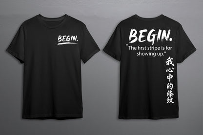 BEGIN. — Stripe 001