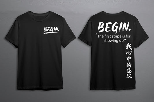 BEGIN. — Stripe 001