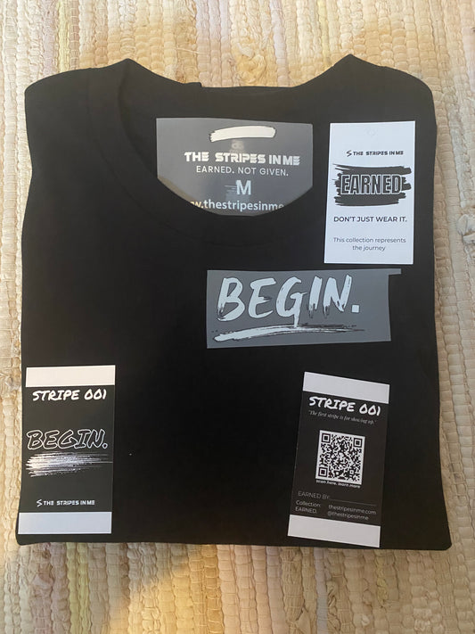 BEGIN. — Stripe 001