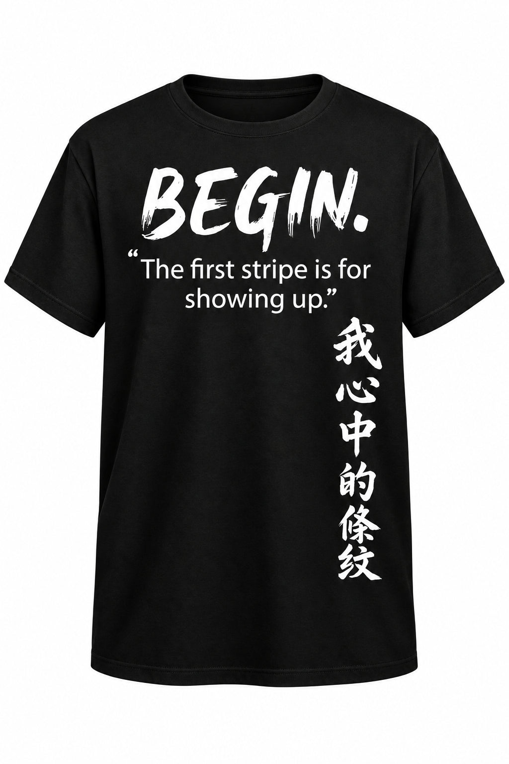 BEGIN — 1.0 | TheStripesInMe