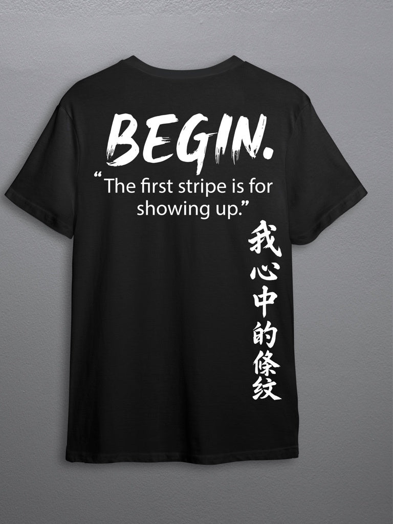 BEGIN. — Stripe 001